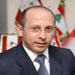 MP Aoun: To Form Homogeneous, Productive Government