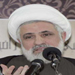 Sheikh Qassem: Lebanese Sovereignty Achieved by Resistane, Army, People Equation