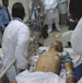 Bahrain’s Secret Terror