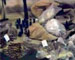 Terrorist Cell in Syria Arrested 