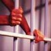 Freed Detainee: Captives Suffer Dire Conditions in “Israeli” Prisons