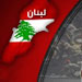 US: To Judge Lebanese Government by Its Actions  