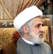 Sheikh Qassim: To Save “Army, People, Resistance” Tripartite, Karami: We Will Protect the Resistance 