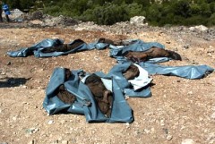 New Mass Grave in Jisr al-Shughour