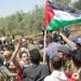 IOF Attacks Palestinian, International Activists 