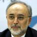 Salehi: Muslim Nations Should Foil Foreign Discord Plots 