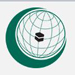 OIC Slams UN Flotilla Report