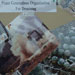 Second MSP-CCM: South Lebanon Stop #1, Sarafand
