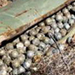 Victims of Cluster Bombs and Landmines Speak Up, Raise Condemnation
