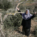 UN Urges “Israel” to Stop Attacks Against Palestinians
