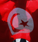 Tunisia Elections Early Results: al-Nahda Islamic Party Claims Victory 