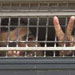 Eye on the Enemy: Prisoners Granted Amnesty Will Be ’’On Probation’’, ’’Israeli’’ Missile for Azerbaijan 