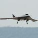 Iranian Army Downs US Spy Drone