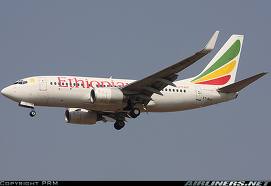 Aridi: Ethiopian Plane Report to be Issued within Days