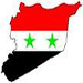 Syrian Foreign Ministry: Syria Refuses Qatar Proposal to Send Arab Military Troops