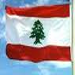 Lebanese National Parties, Figures: Resistance’s Weapons a National Need 

