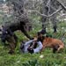 Palestinian Attacked by ’’Israeli’’ Army Dog

