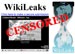 Wikileaks: US Mercenary Took Part in Gaddafi Killing, Sent to Assist Syrian Opposition

