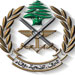 Lebanese Army Confiscates Munitions in Tripoli Port