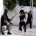 FSA Aggressions Continue against Lebanon: Kill, Kidnap, Attack LA! 