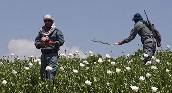 Drugs: US Weapon for Mass, Profitable Destruction