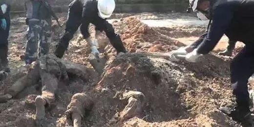 230 Bodies Found in Mass Grave in Deir al-Zour