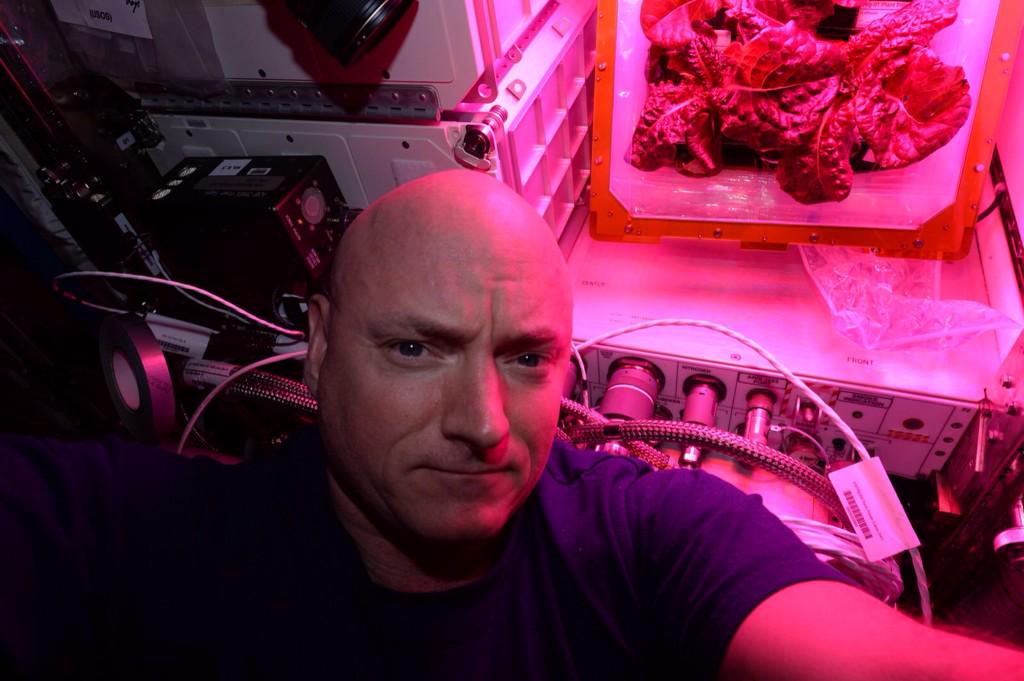 Space Salad: ISS Astronauts to Eat First Cosmic Lettuce