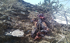 KSA Bombs Aid Truck in Yemen’s Saada KSA Bombs Aid Truck in Yemen’s Saada
