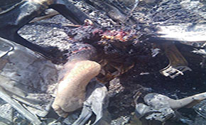 KSA Bombs Aid Truck in Yemen’s Saada KSA Bombs Aid Truck in Yemen’s Saada