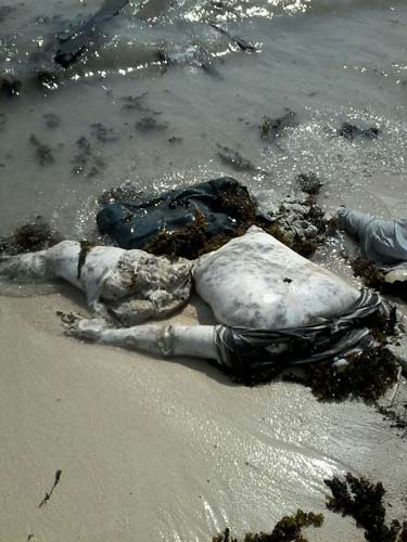 Al-Hadida Massacre in Photos: a Proof of Saudi Aggression, Use of Forbidden Weapons

