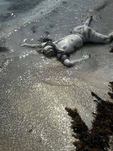 Al-Hadida Massacre in Photos: a Proof of Saudi Aggression, Use of Forbidden Weapons

