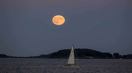 Stargazers Follow Rare ‘Blood Moon' Event