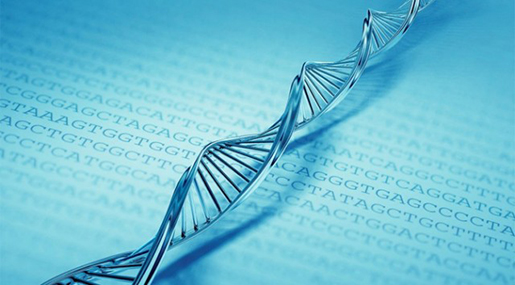 Scientists to Store Digital Data in DNA Molecules