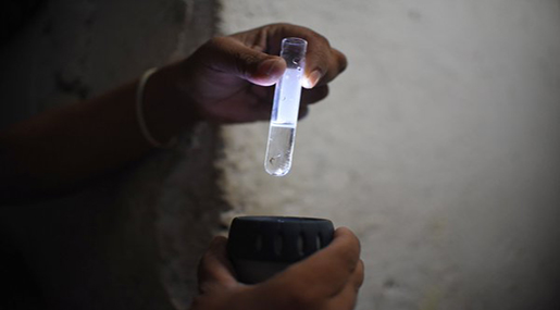 UN Nuclear Agency Suggests Radiation Use to Fight "Zika" Mosquitoes UN Nuclear Agency Suggests Radiation Use to Fight ’Zika’ Mosquitoes