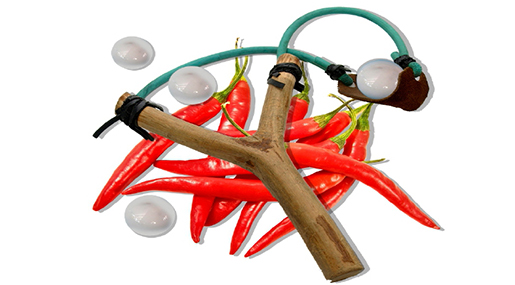 Chili-Loaded Slingshots to be Used by India Police