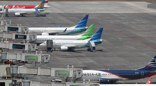Bee Onboard Delays Indonesian Garuda Flight!