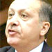Erdogan Blasts Media, Opposition for Downed Jet Coverage