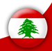 Qortbarwi Requests Immunity Lifting over Al-Merehbi, Hostages Issue on Right Track