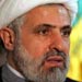 Sheikh Qassem: Hizbullah Will Not Give up Brothers Displaced, Killed in Syria