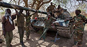 More Than 70 Rebels Killed in Sudan’s South Kordofan