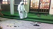 Bahraini Forces Shell Religious Ceremony with Tear Gas, Continue Crackdown