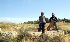 Settlers’ Dogs Attack Palestinians in AL-Khalil