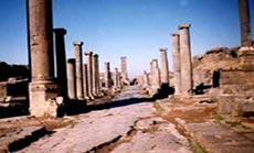 Syria Terrorists Evacuate, Loot Daraa Historic Sites 