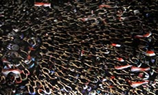 Back to Squares, Egypt Rivals Hold Rallies Friday