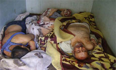 Syria: Terrorists Commit Massacre on 11 People in Homs, Army Operates in Aleppo