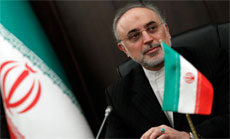 Salehi to Continue Atomic Energy Programs