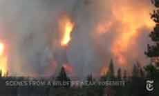 Rim Fire Spreads Deeper into Yosemite National Park, Fire Fighters on The Go 