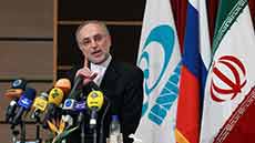 Iran Bushehr Nuclear Power Plant, Safest in World: Salehi 