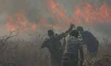 “Israeli” Soldiers Injure At Least 25 Palestinians, Settlers Burn 350 Olive Trees 