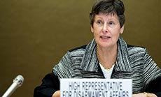 UN Disarmament Chief: Irregular, Nongovernmental Forces in Syria may Have Chemical Weapons